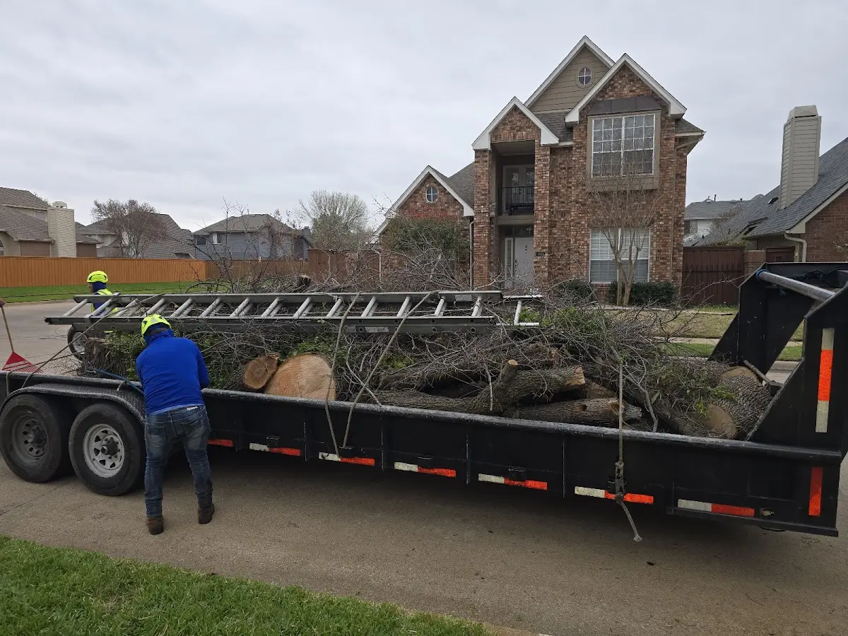 Expert Tree Fertilization with proper safety equipment in Brevard